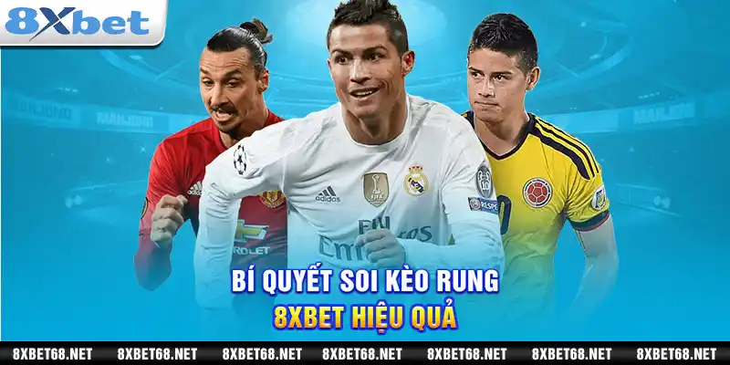 Bí quyết soi kèo rung 8xbet hiệu quả