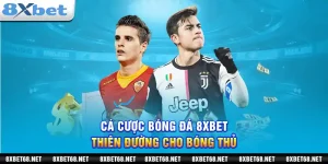 Cá cược bóng đá 8xbet: Thiên đường cho bóng thủ