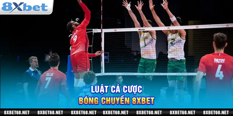 Luật cá cược bóng chuyền 8xbet