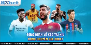 Tổng quan về kèo tài xỉu cùng chuyên gia 8xbet