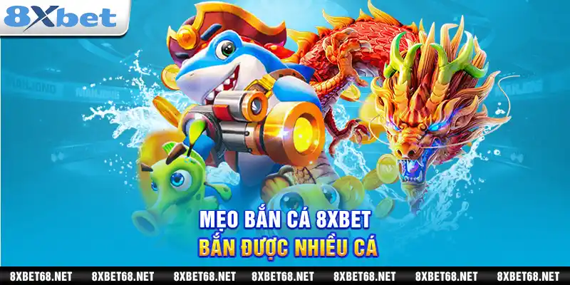 Mẹo bắn cá 8xbet bắn được nhiều cá